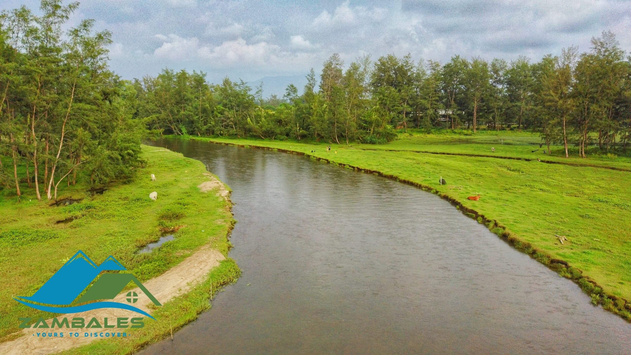 Beach Lot in San Narciso Zambales anahaw.ph