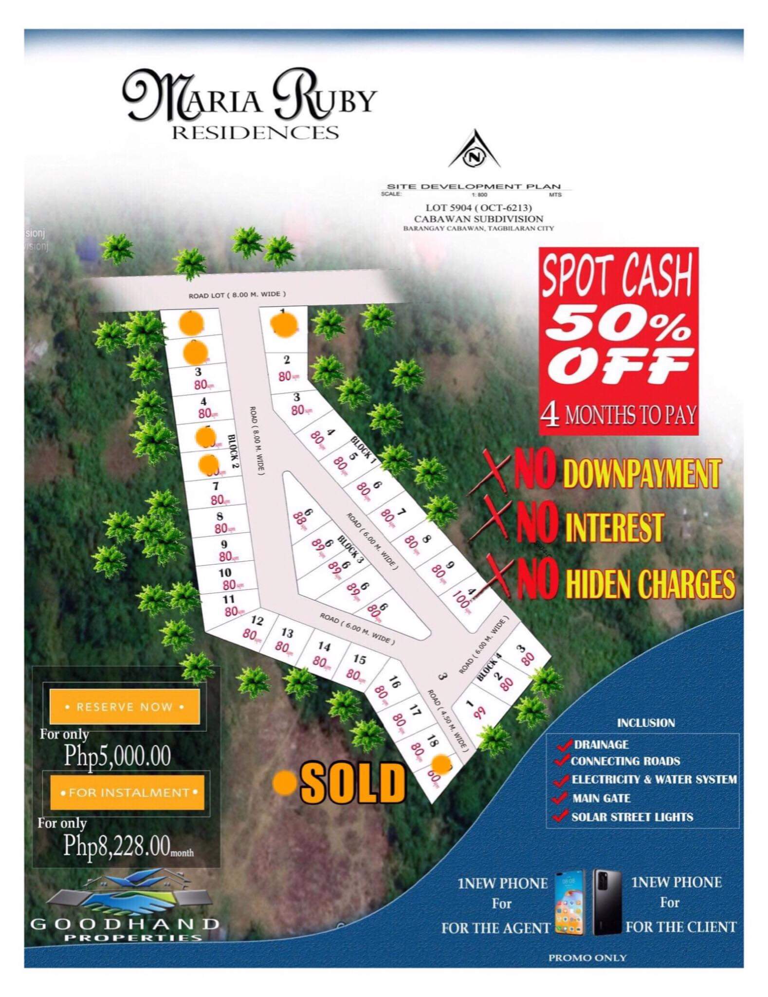 Subdivided lot for sale in Tagbilaran City anahaw.ph