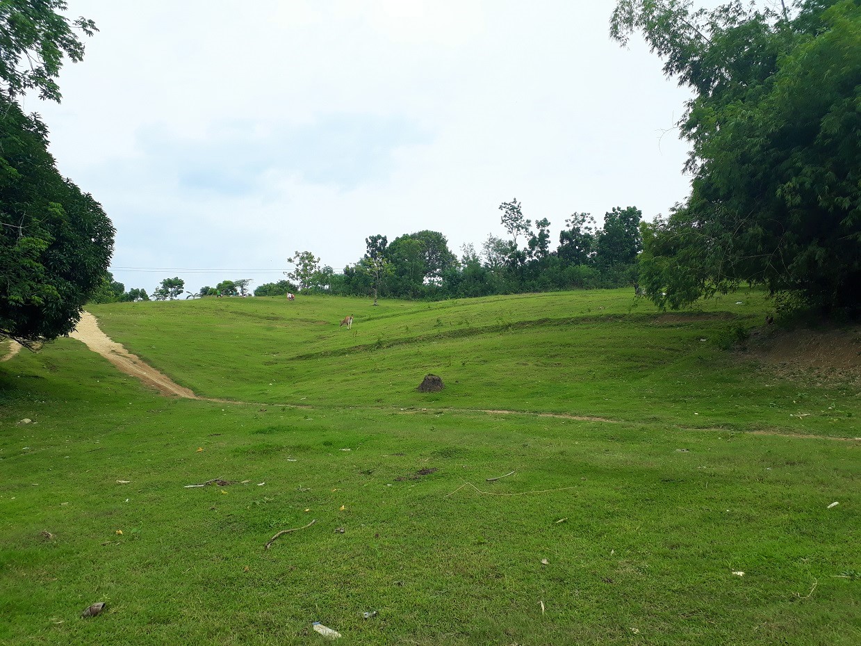 1.37ha CleanTitled Land for Sale in Barili Cebu at P5M anahaw.ph