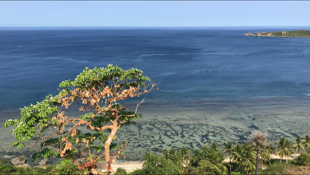 Lot for Sale Beach View Agno, Philippines anahaw.ph